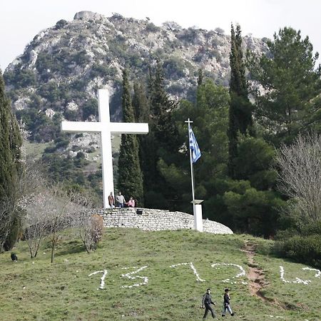 Amadriades كالافريتا المظهر الخارجي الصورة